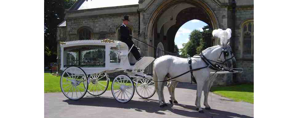White-Horses-and-Carriage